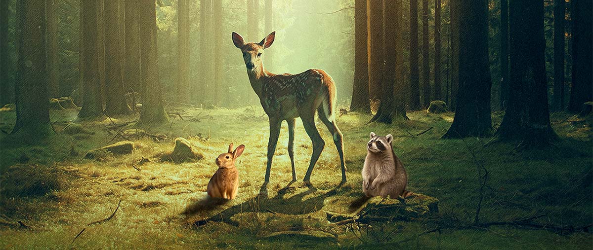 Bambi: A Tale of Life in The Woods